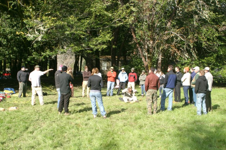 a group of people standing next to a tree