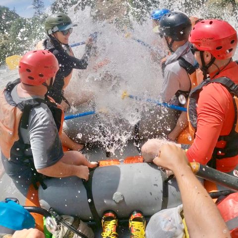 a young boy holding a baseball bat