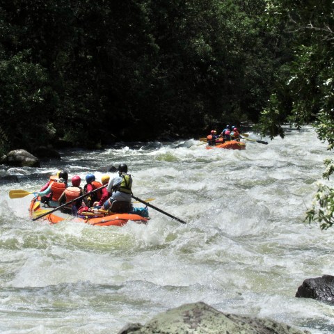 a group of people riding skis on a raft in a body of water