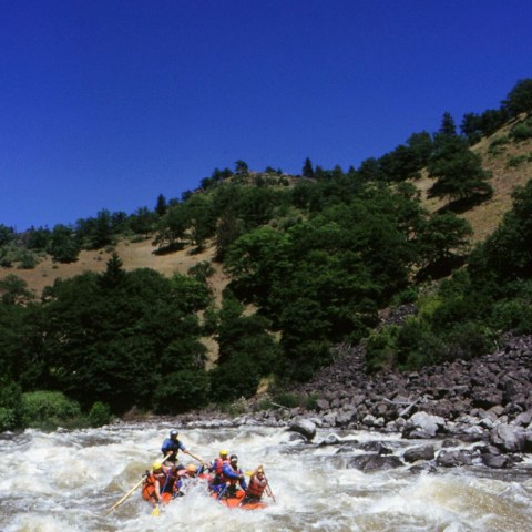 a group of people riding skis on a body of water