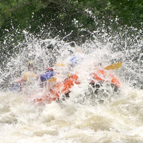 a person riding a wave on top of a body of water