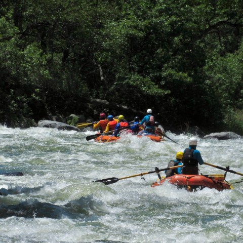 a group of people riding skis on a raft in a body of water