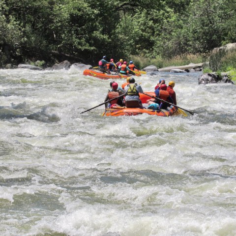 a group of people riding skis on a raft