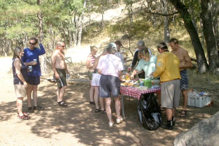 a group of people standing next to a tree