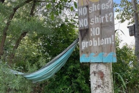 a sign on the side of a tree