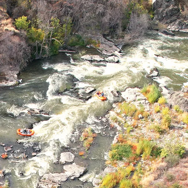 a waterfall in a forest