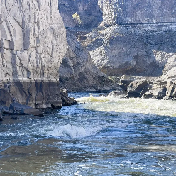 water next to the ocean