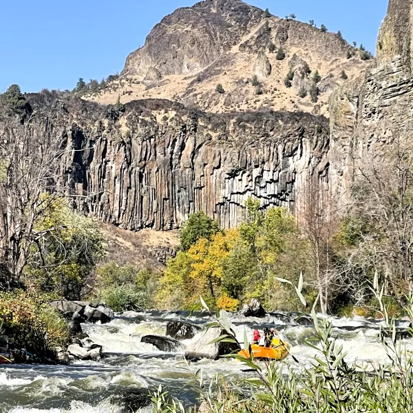 a large mountain in the background