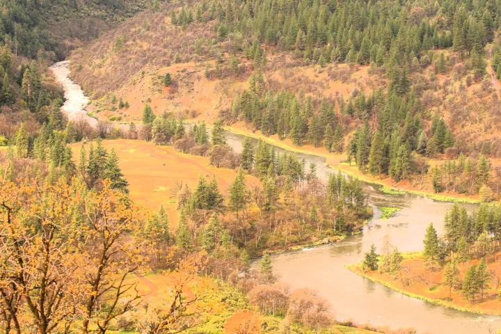 a canyon with a river in a forest